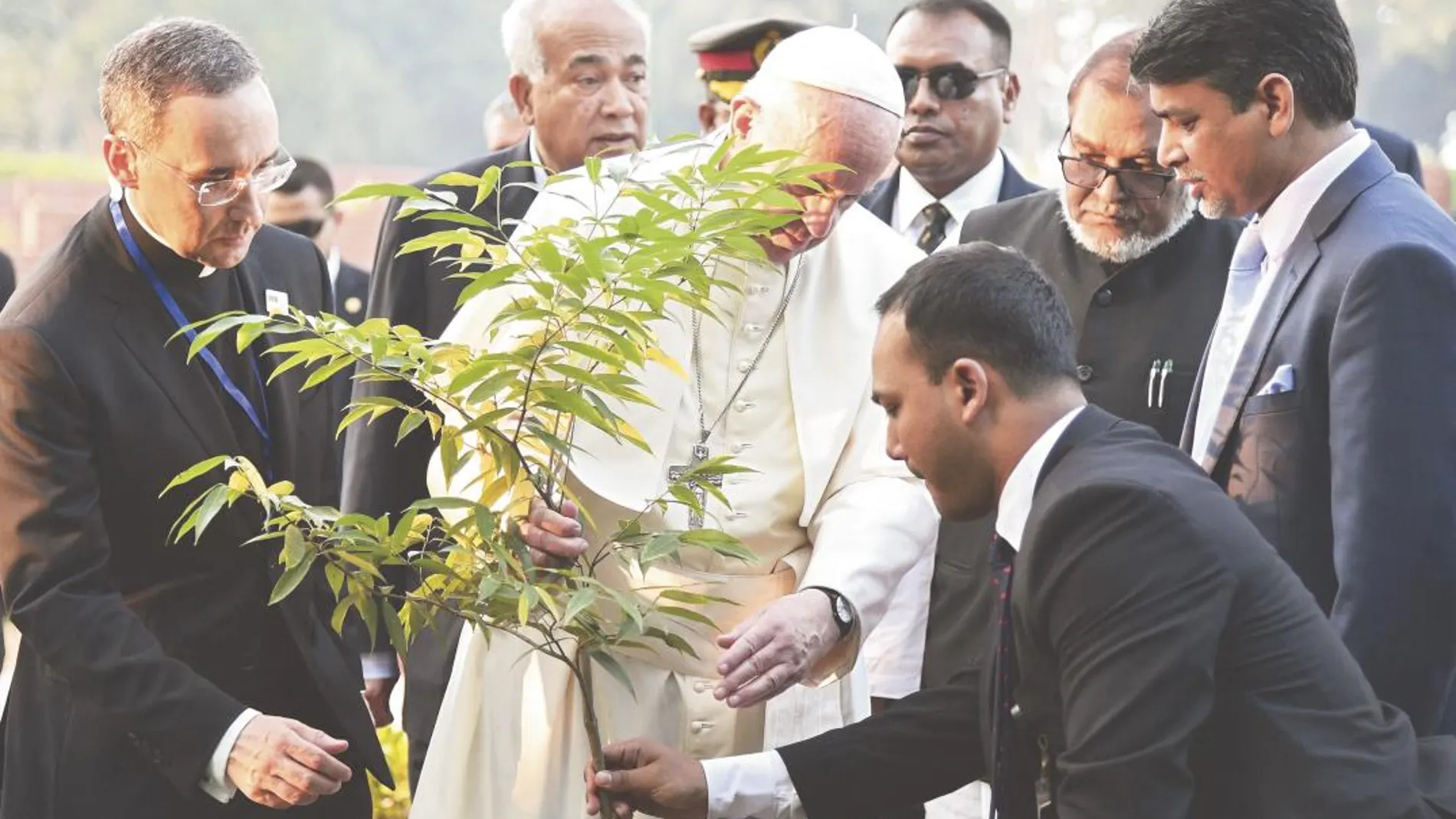 Francisco ofrece un árbol en el Jardín de la Paz