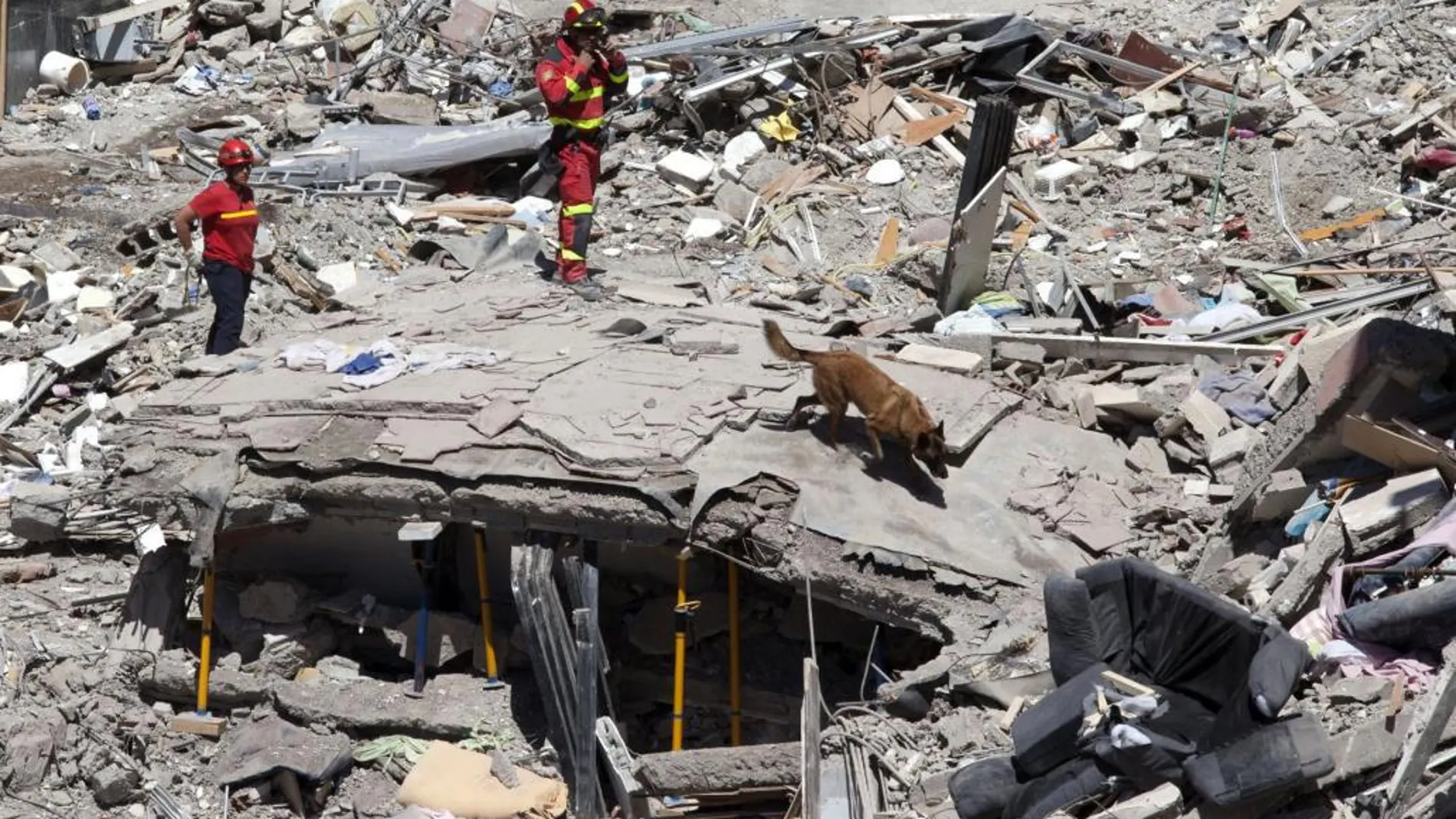 Un perro especialista en la búsqueda de personas trabaja entre los escombros bajo la supervisión de los bomberos