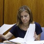 La consejera de Salud de la Junta, Marina Álvarez, en el Parlamento autonómico