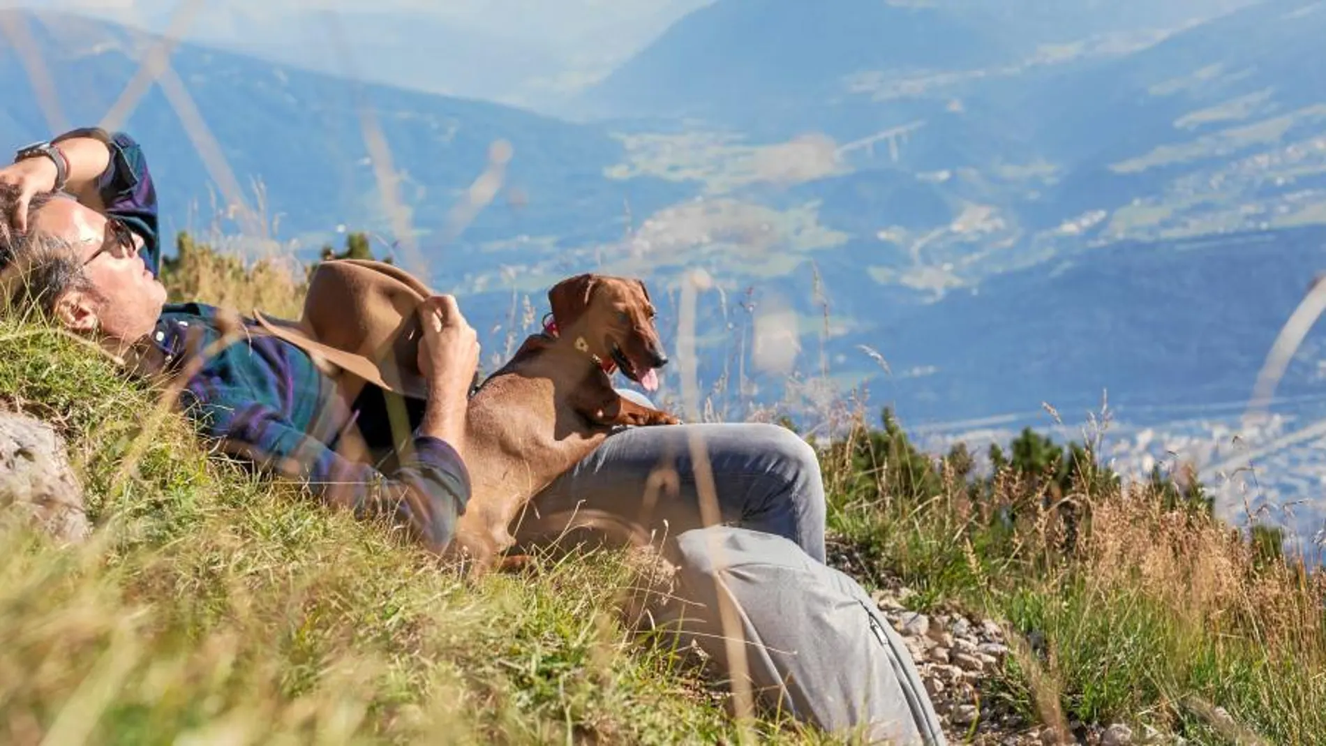 Las aventuras de Eros, el perro viajero