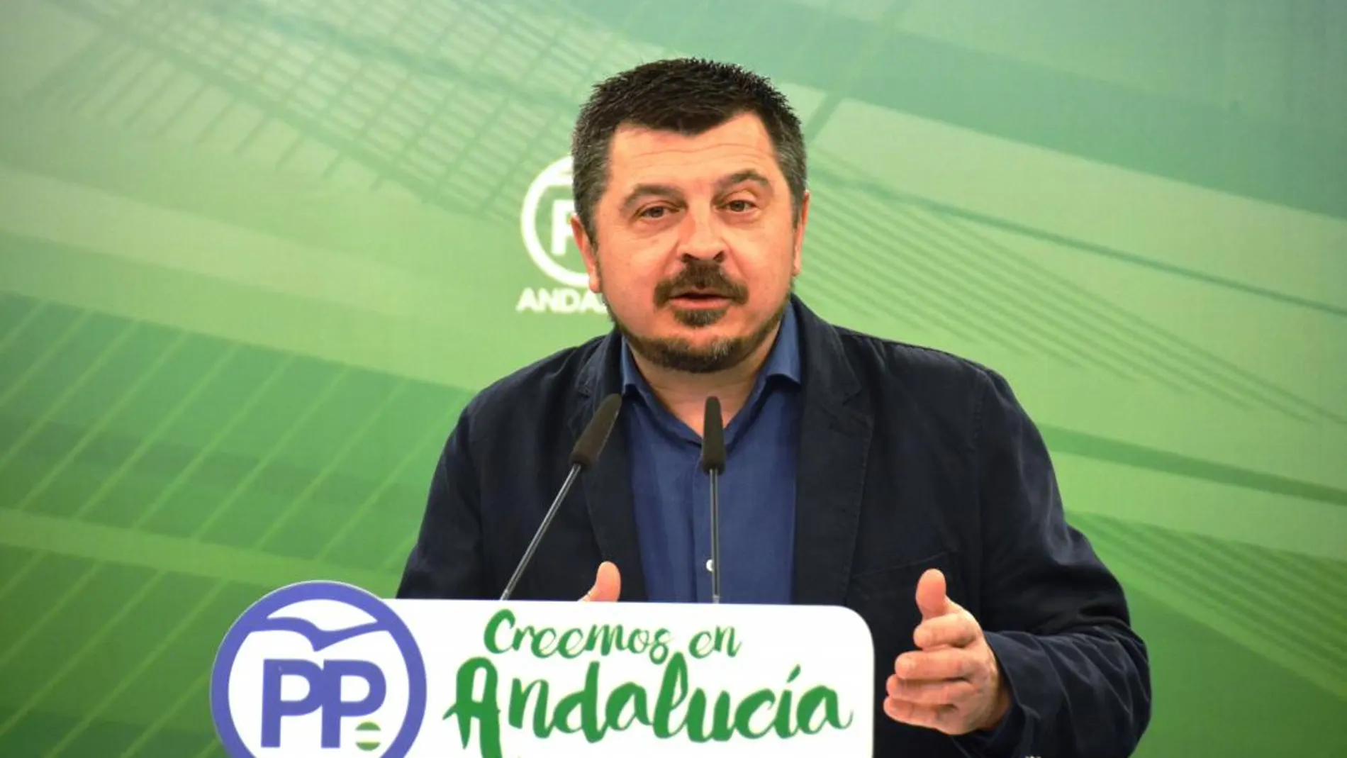 El vicesecretario de Organización, Formación y Electoral del PP-A, Toni Martín