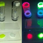 Gomas con proteínas luminiscentes roja, verde y azul usadas para fabricar los BioLED