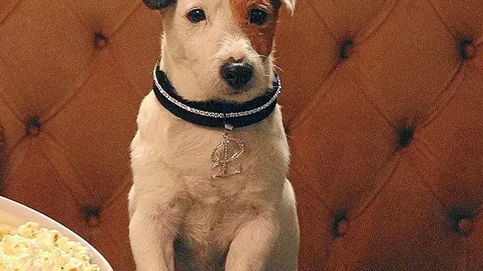 Diez perros más famosos que sus dueños