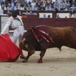 El madrileño Gonzalo Caballero ejecuta un derechazo a «Cerillero II», el toro con el que tomó la alternativa