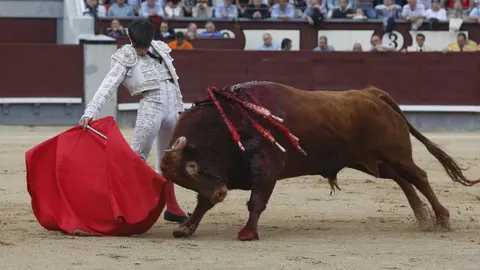 El madrileño Gonzalo Caballero ejecuta un derechazo a «Cerillero II», el toro con el que tomó la alternativa