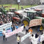 Las protestas por la leche se multiplican en España y Francia