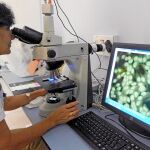 El medicamento ha sido desarrollado por el servicio de Neuroinmunología del Hospital Vall d’Hebron