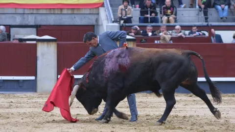 El maestro Ruiz Miguel en una de sus últimas actuaciones en Las Ventas