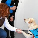 Una de las integrantes del taller da la mano a Nala, frente a la atenta mirada de la psicóloga, en uno de los Centros de Atención a Drogodependientes (CAD) con perros terapeutas