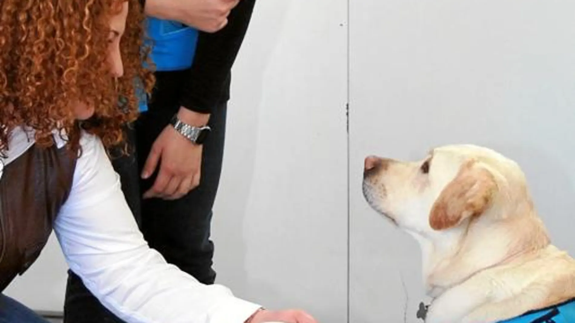 Una de las integrantes del taller da la mano a Nala, frente a la atenta mirada de la psicóloga, en uno de los Centros de Atención a Drogodependientes (CAD) con perros terapeutas