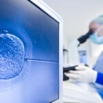 Reino Unido abre la puerta a la investigación genética de embriones humanos