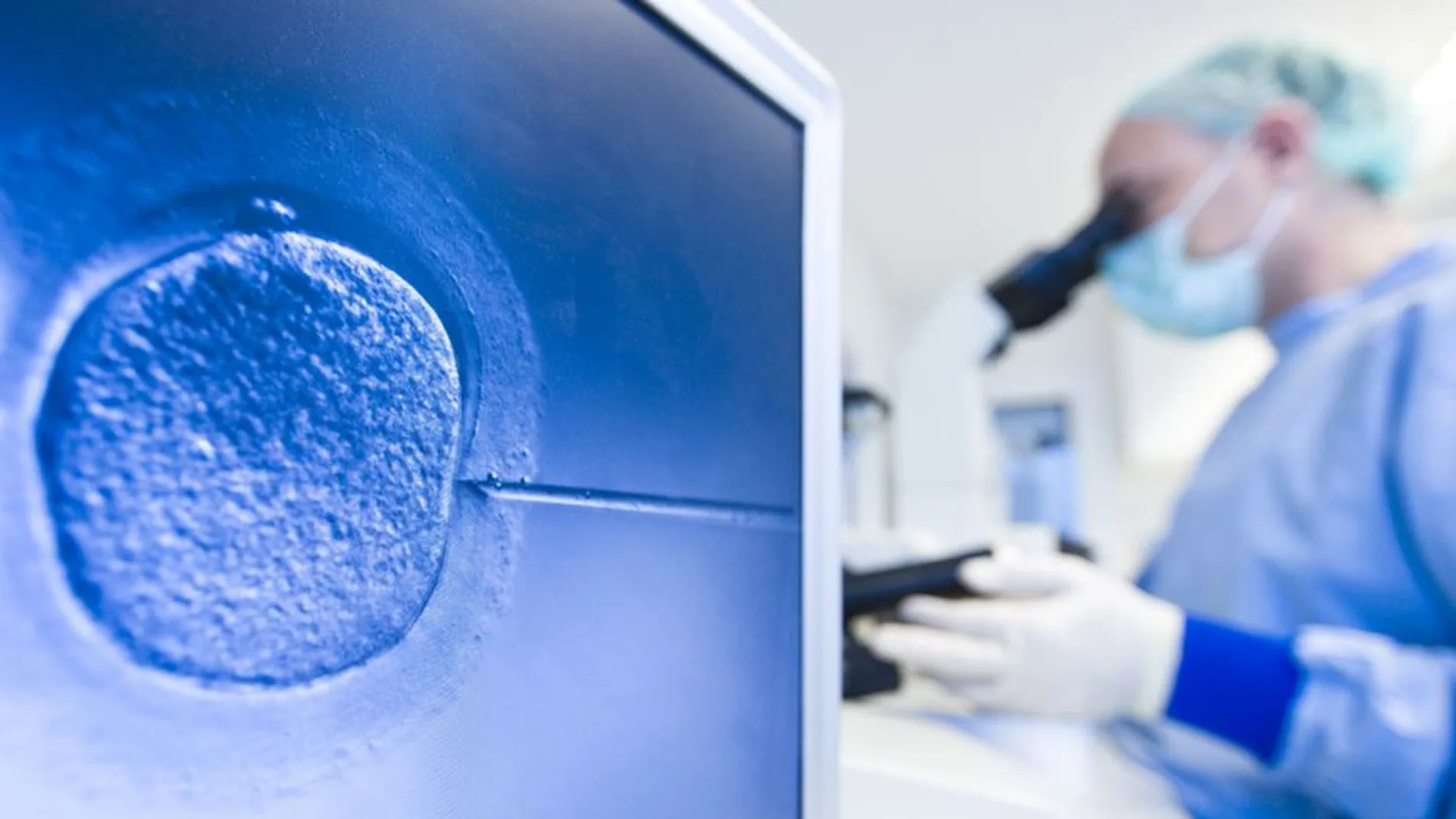 Reino Unido abre la puerta a la investigación genética de embriones humanos