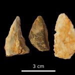 Han encontrado más de veinte puntas de lanza