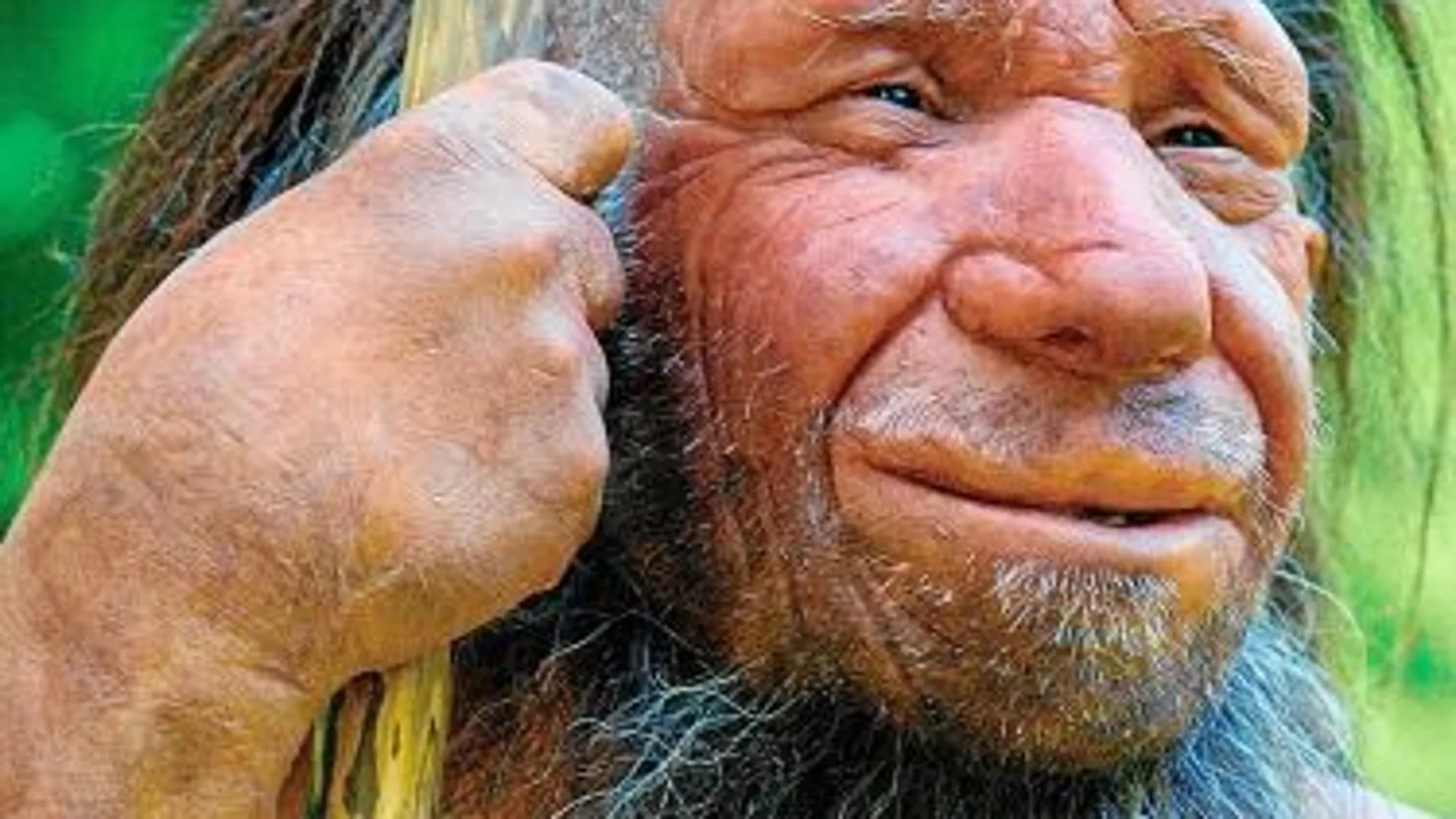 Una recreación del primo del sapiens, del Museo del Neandertal de Alemania