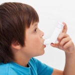 Cuatro bacterias intestinales protegen a los niños del asma