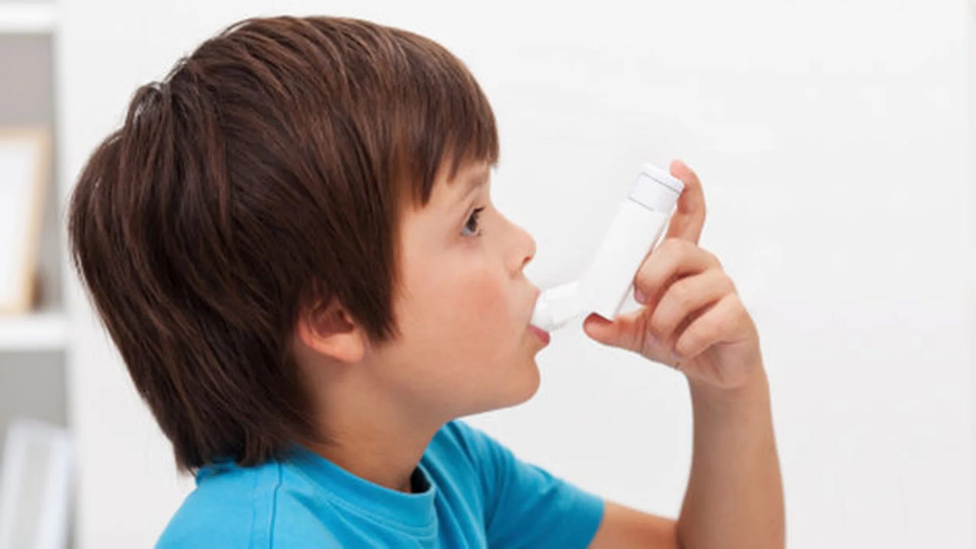 Cuatro bacterias intestinales protegen a los niños del asma