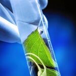¿Será el sol la fuente de energía del futuro?