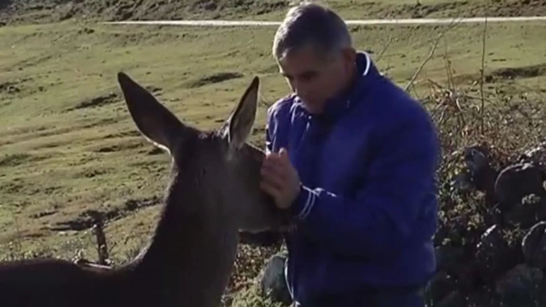 Aladino junto a Bambi