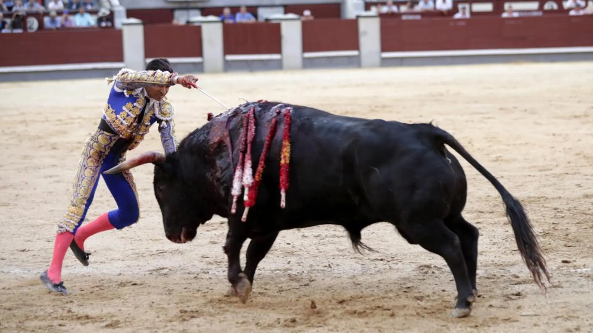 El diestro mexicano Joselito Adame entra a matar sin muleta a su segundo toro.