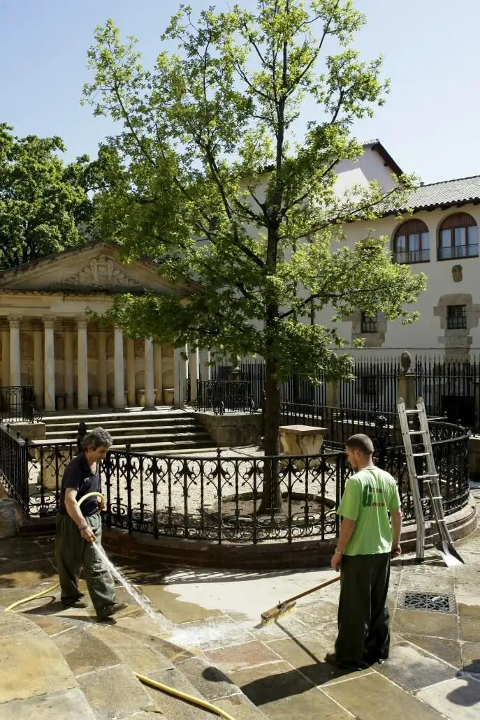 Imagen de archivo del Arbol de Guernica