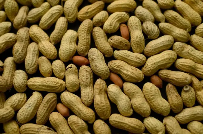¿Alergia al cacahuete?: EE UU aprueba un medicamento para tratarla