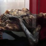 El cuerpo, del cual se desconoce su identidad, tiene aproximadamente 50 años y podría llevar momificado más de 15