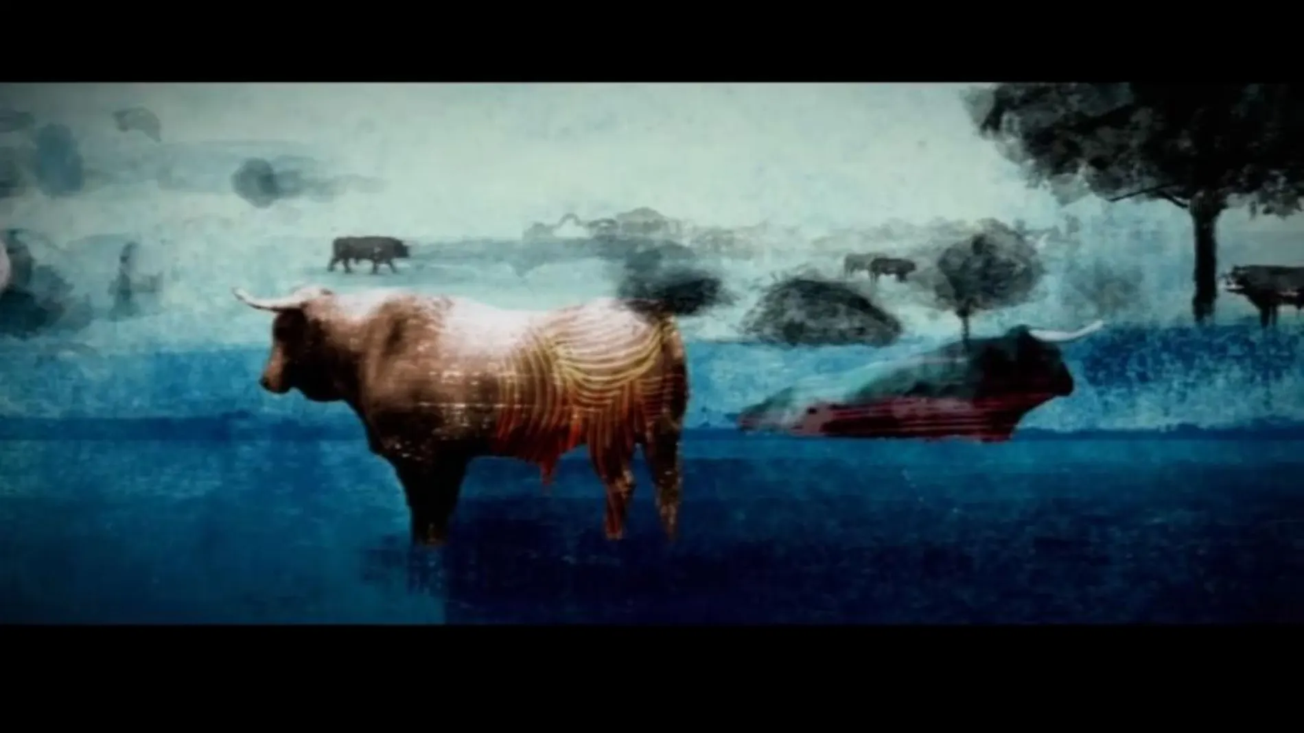 Una de las imágenes de «Toro», una coproducción de Albero y RTVE