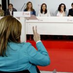 Susana Díaz (de espaldas) se dirige a los miembros de la mesa presidencial durante la reunión del Comité Federal del PSOE.