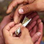 El tribunal de garantías señala que el cannabis es una sustancia calificada como estupefaciente, aunque pueda ser utilizada con fines terapéuticos / Efe
