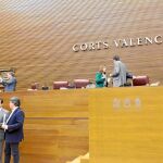 El PP sólo logró el apoyo de Ciudadanos a su declaración institucional de apoyo a la unidad de España