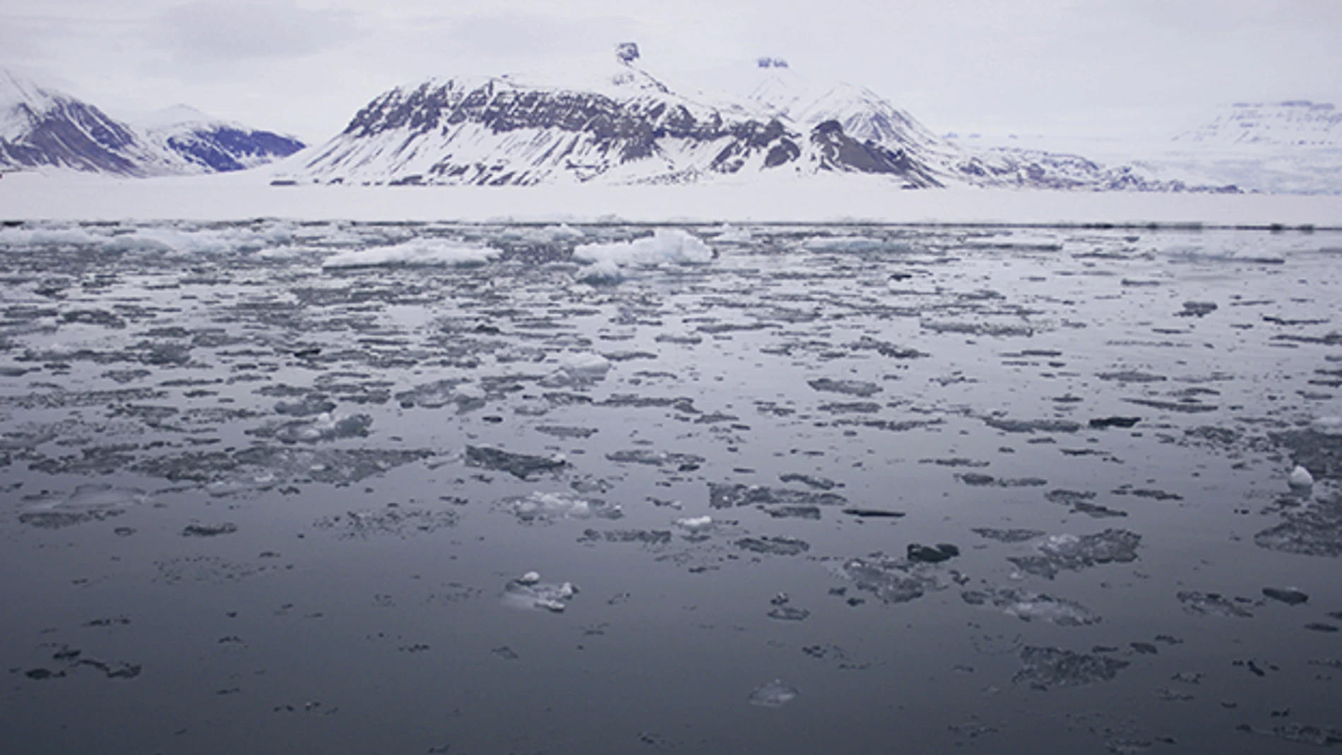 Los expertos del CSIC han tomado muestras en el Océano Ártico