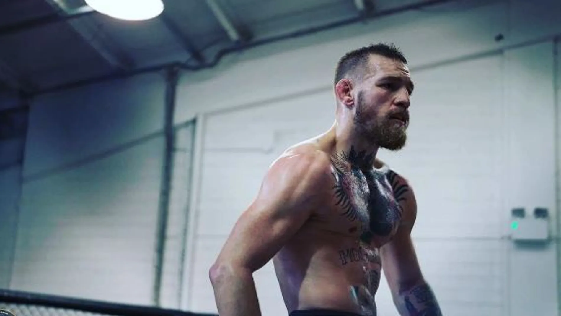 El irlandés Conor McGregor, en una imagen de su cuenta de Instagram