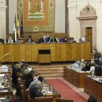Vista del plenario en una sesión del Parlamento autonómico