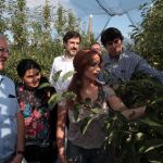 Silvia Clemente visita la plantación de manzanos de Nufri en El Burgo de Osma con miembros del grupo de trabajo de la Calre sobre despoblación