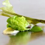 Cogollos, cítricos y alga codium
