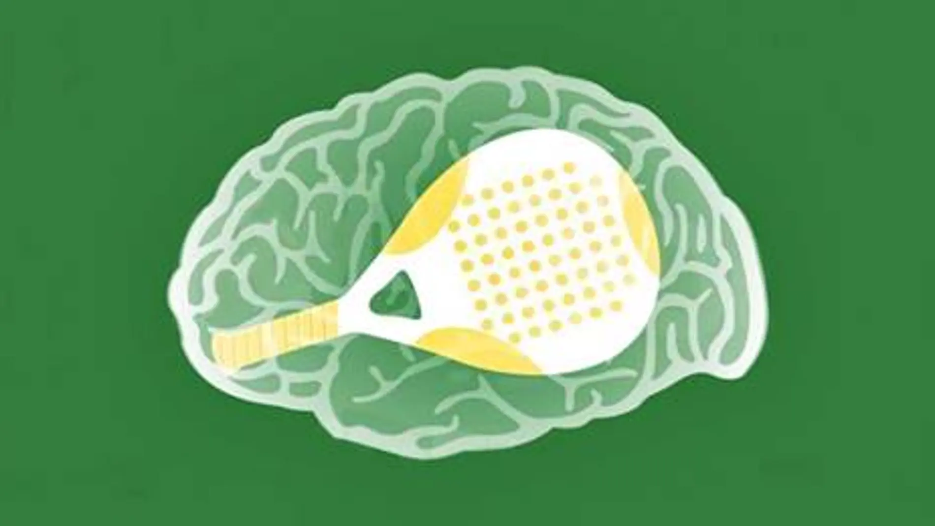 Seccion psicología y pádel consultorio