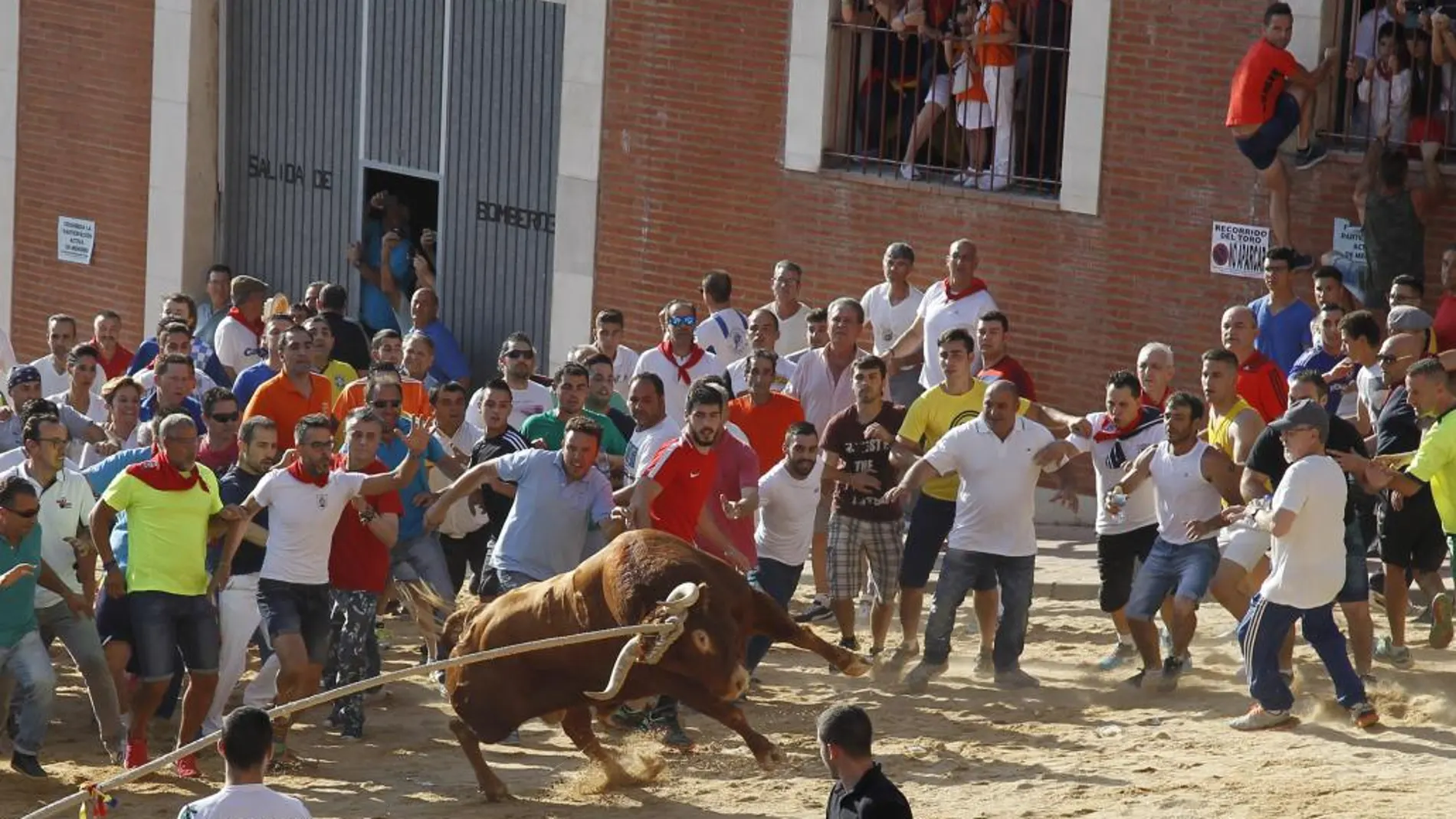 Cientos de zamoranos acudieron, un año más, a celebrar el Toro Enmaromado de Benavente