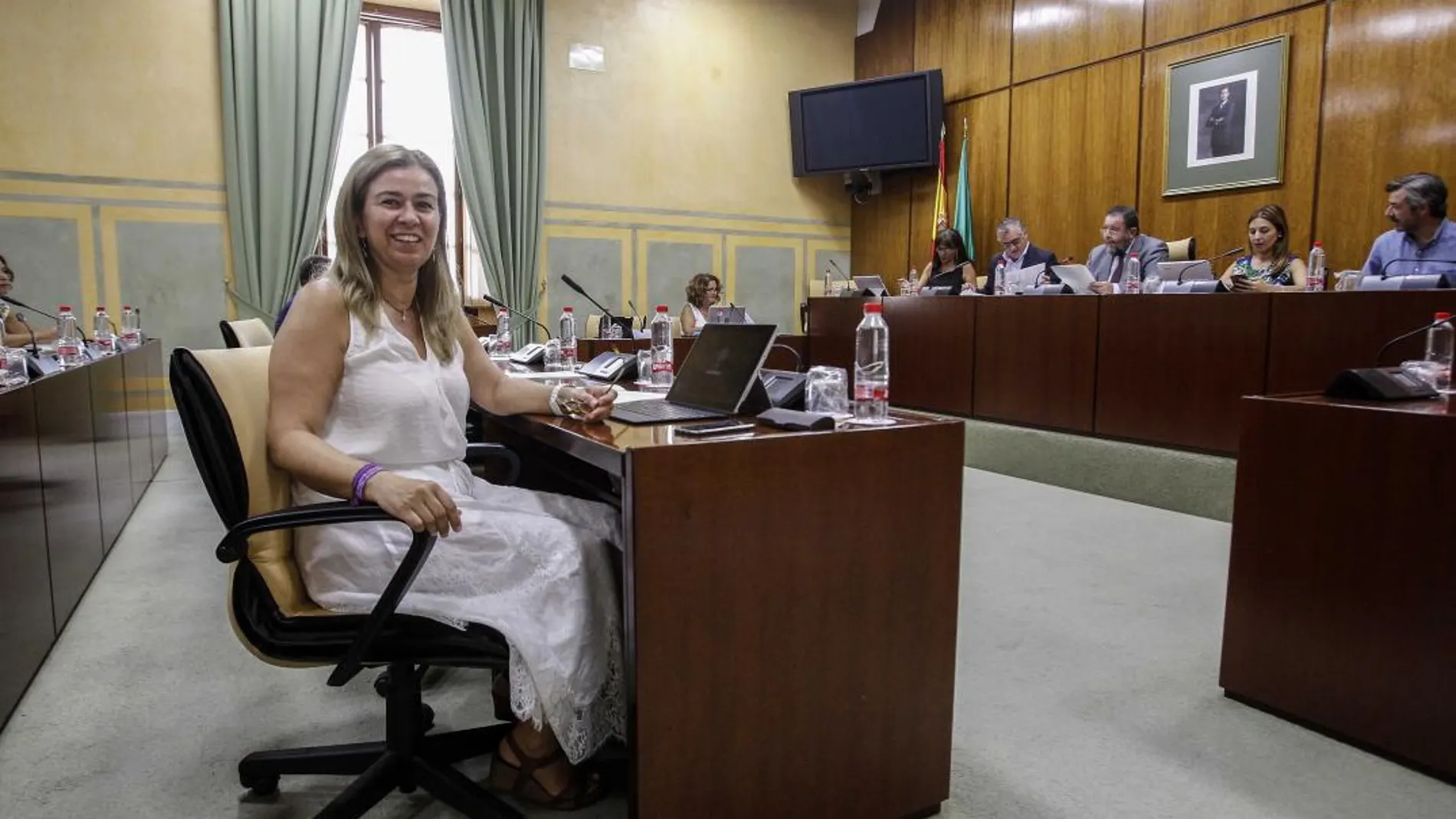 La diputada popular Teresa Ruiz-Sillero protagonizó ayer otro ya clásico “cara a cara” con el consejero Javier Carnero (Foto: Manuel Olmedo)