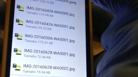 Golpe a la mayor red internacional de pornografía infantil a través de WhatsApp