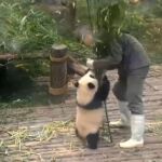 Imágenes de Qi Yi jugando