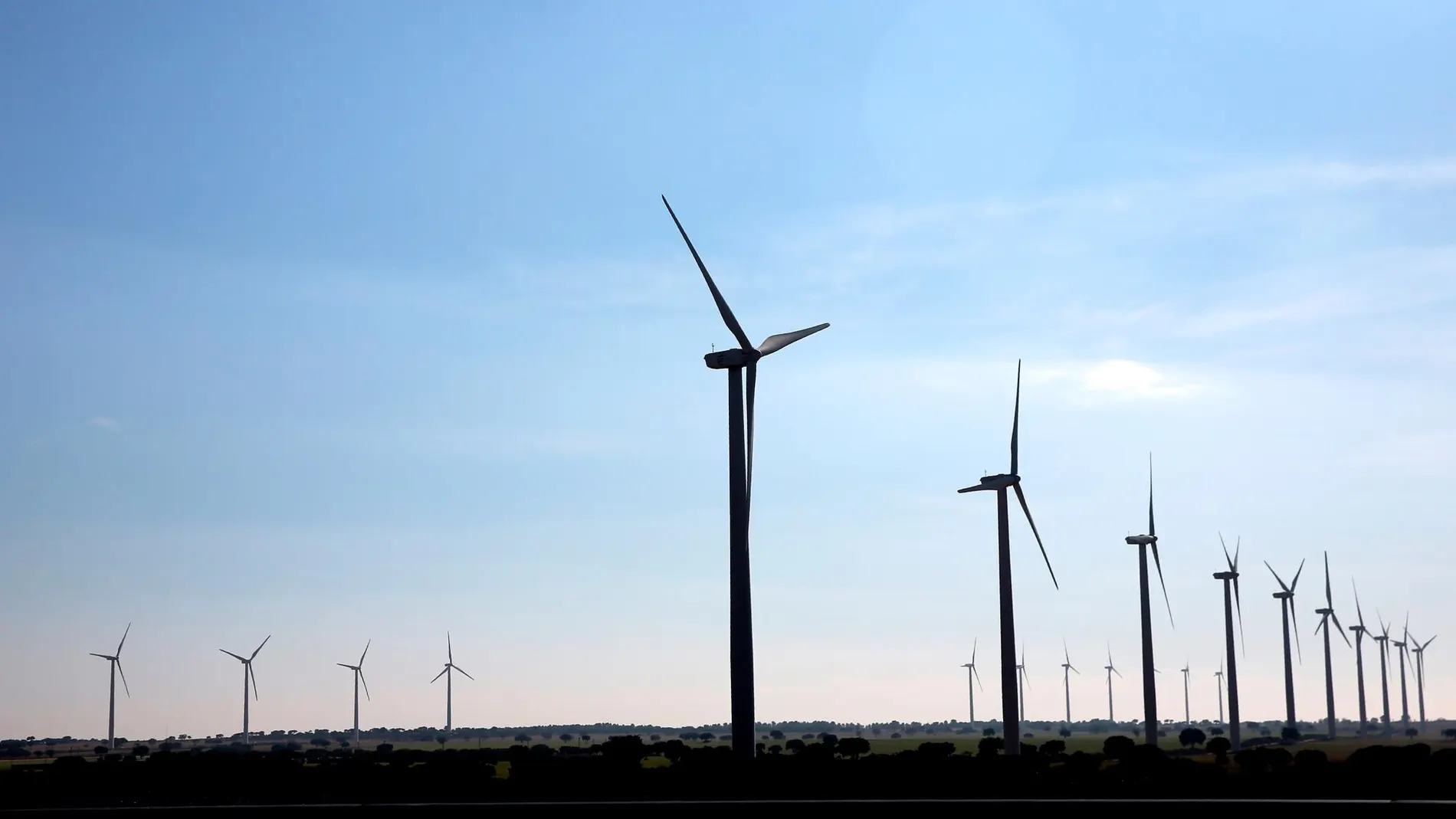 Las renovables son las energías del futuro