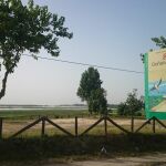 Las amenazas a Doñana llevan desde 2011 «en el punto de mira de la Unesco», según WWF
