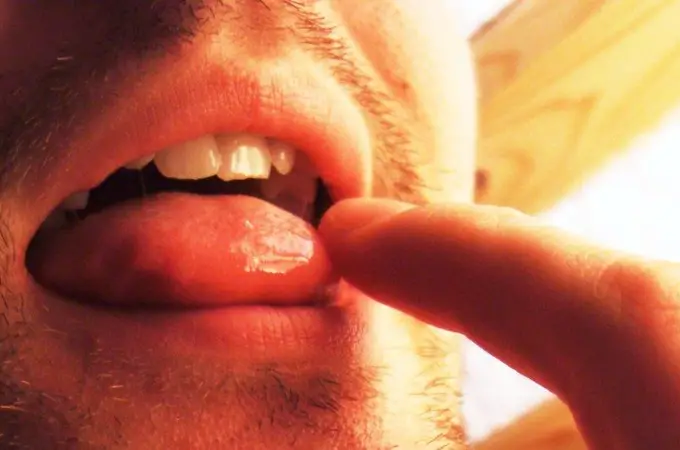 Descubren el origen oculto de la saliva