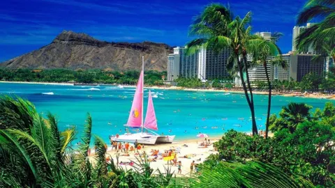 Honolulu, la meca del surf