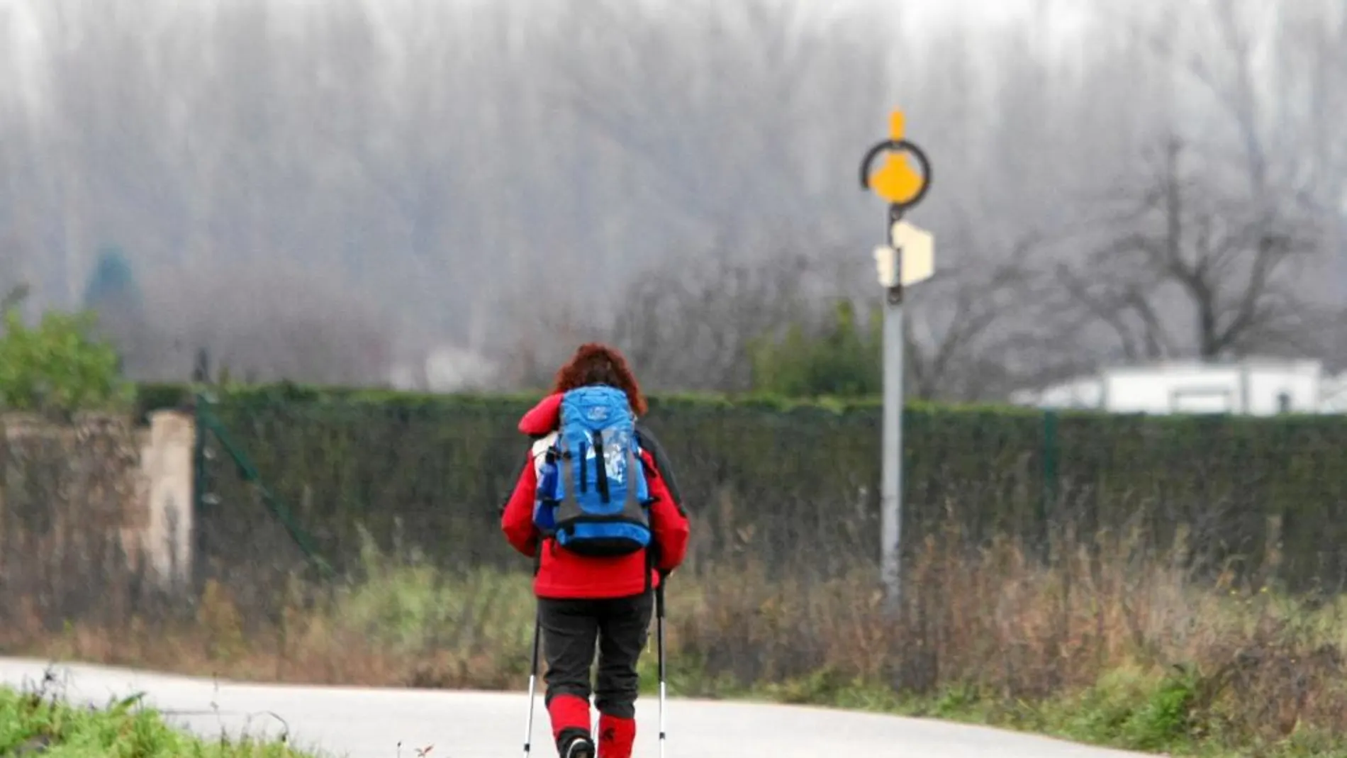 El Camino francés es el más utilizado para hacer la Ruta Jacobea