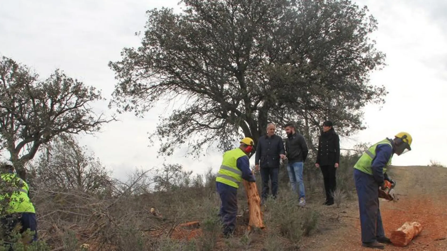 Los técnicos de la Concejalía de Agricultura revisan las zonas verdes del paraje natural de Cabezo de la Jara