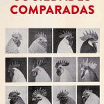 No somos tan diferentes de las aves