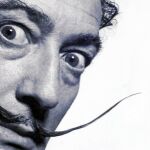 El rastro de ADN de Dalí