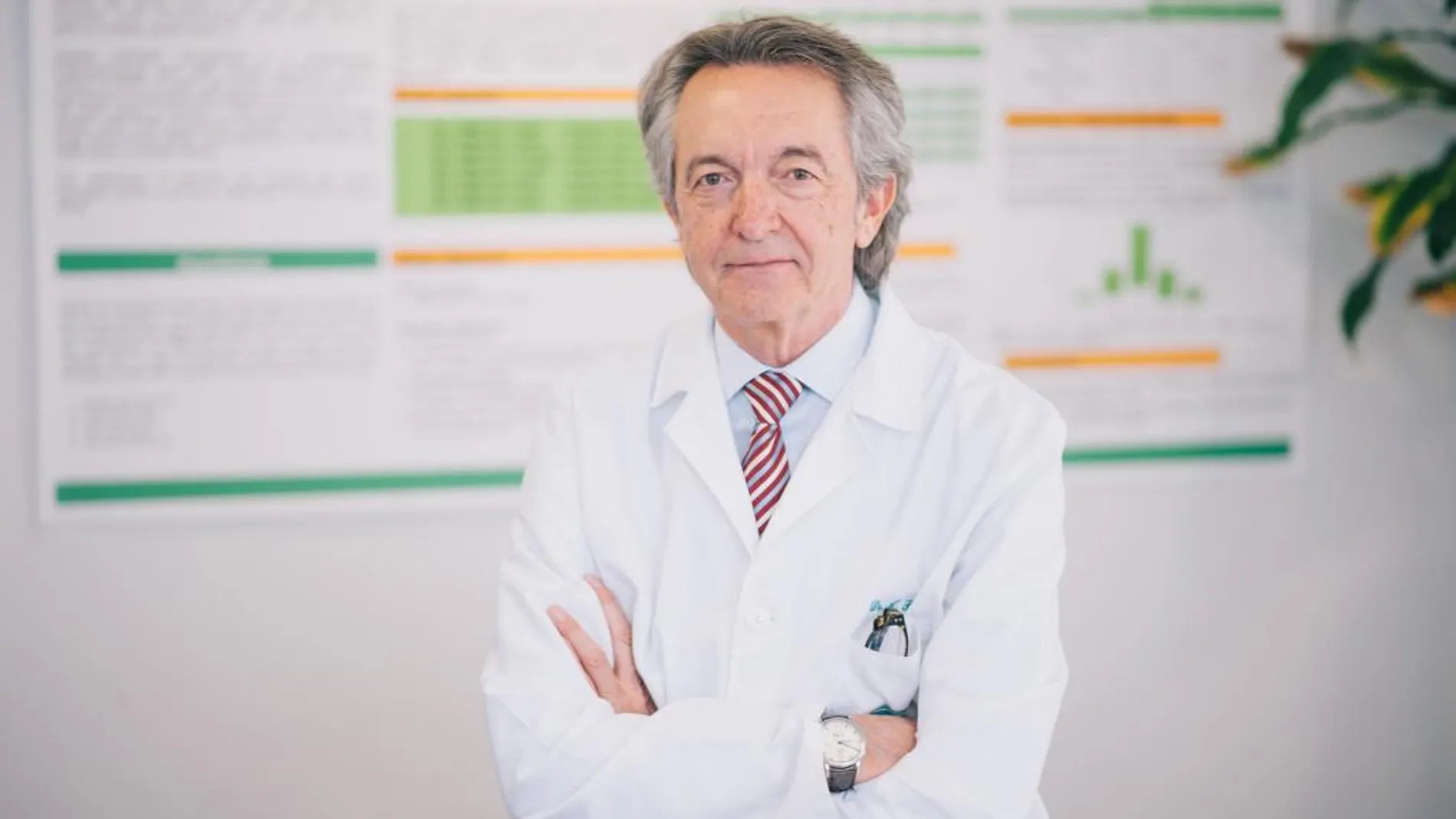 Andrés Poveda / Director médico del Área Clínica de Oncología Ginecológica del IVO