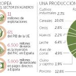 La PAC cumple años con el peligro de su renacionalización